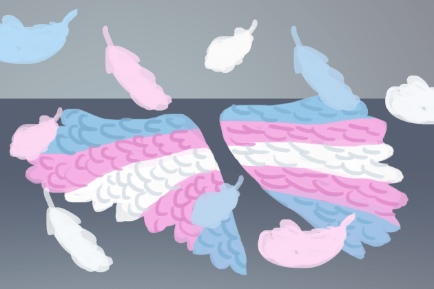 alastrans_portada-homosensual- diario el diverso.png