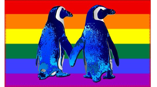diarioe le diverso-gay-pinguinos-homosexuales.jpg